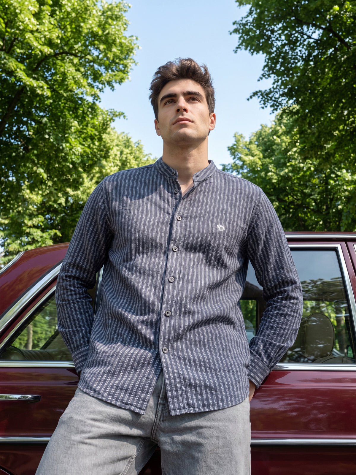 Men's Black Vertical Striped Mandarin Collar Casual Shirt